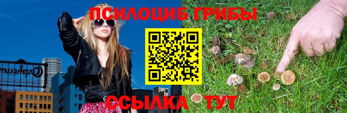 Псилоцибиновые грибы Psilocybine cubensis  Вход с VPN  цена   Гагарин 